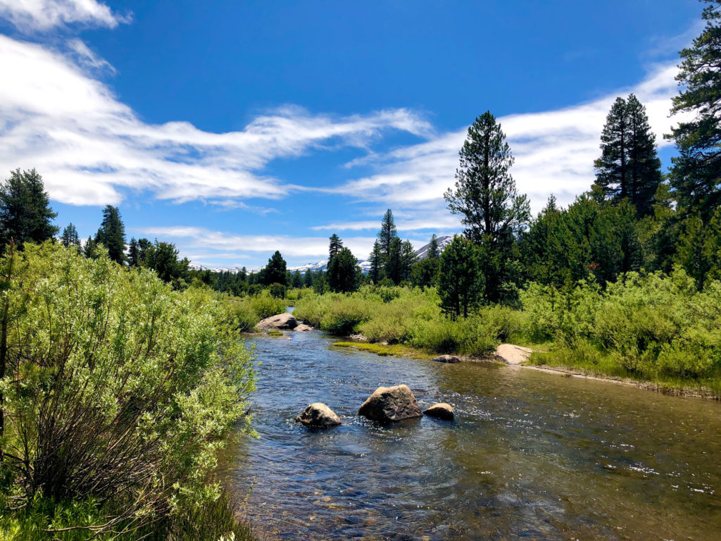 Tahoe mountain stream